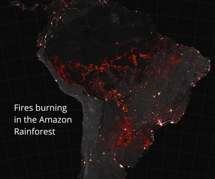 Picture of fires in the amazon rainforest