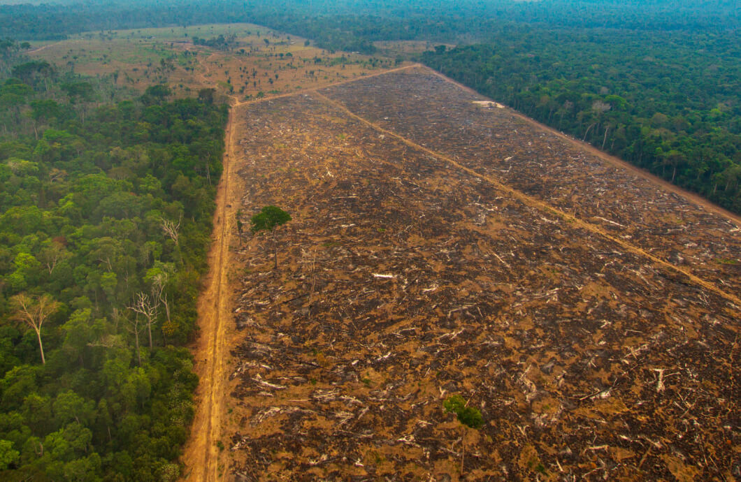 Aerial photograph of land deforested for agriculture